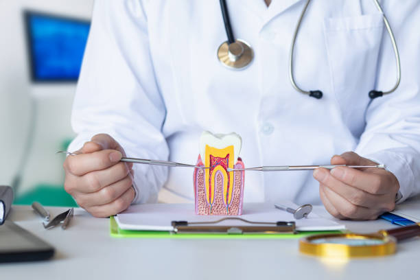 Best Weekend Emergency Dentist in Augusta, KS